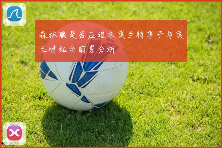 森林狼是否应追求莫兰特华子与莫兰特组合前景分析